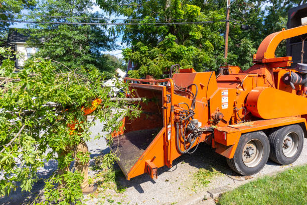 Best Commercial Tree Services  in Crocker, WA